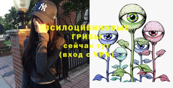 твердый Липки